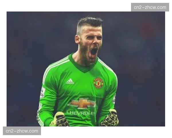 汉堡费尔南德斯门将扑救，但出击决策存在风险